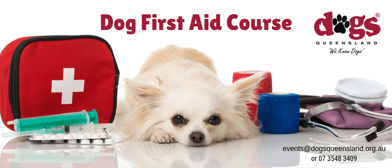 Dog First Aid Course Brisbane Eventfinda