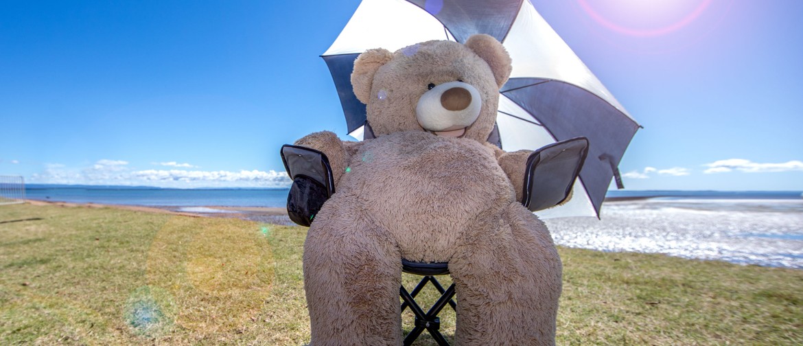 Redcliffe Teddy Bears' Picnic At the Sea