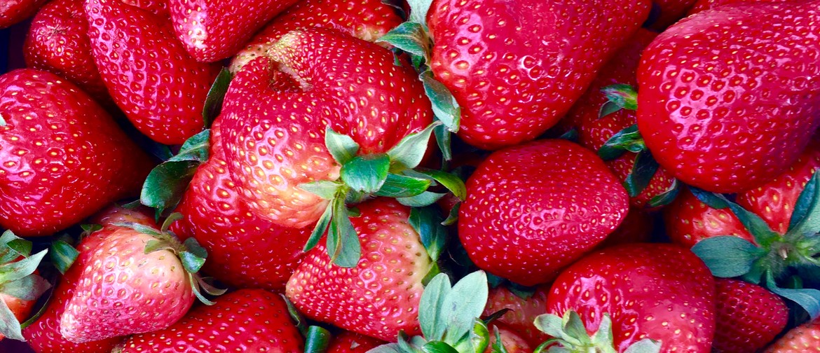 Adelaide Farmers' Market