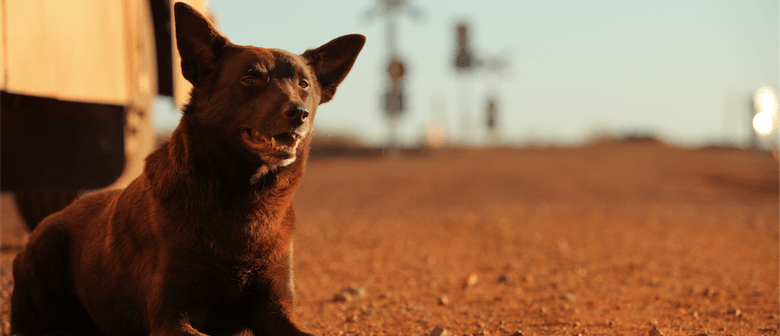 Koko: A Red Dog Story – Australian Premiere & Charity Event