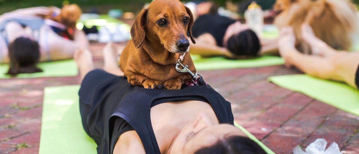 PatchPets Pups & Pilates