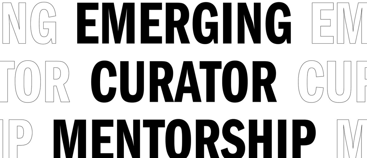 Emerging Curator Mentorship: Connecting In the Grey Zone