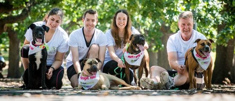 PETstock Assist's National Pet Adoption Day