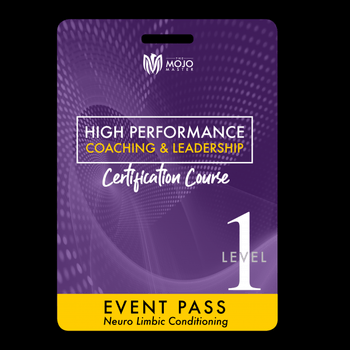 Image for High Performance Coaching & Leadership – Lvl 1