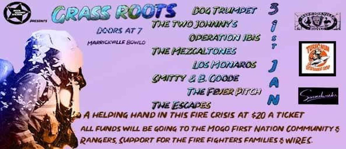 Grass Roots – A Helping Hand for The Fire Crisis