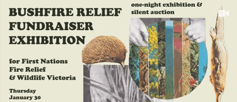 Bushfire Relief Fundraiser Exhibition