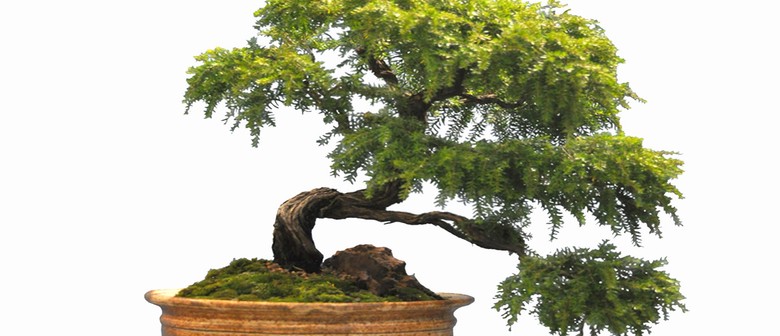 Australian Plants as Bonsai Exhibition and 8th Symposium