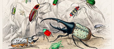 Minibeast Sculpture &ndash; Art Classes for Kids