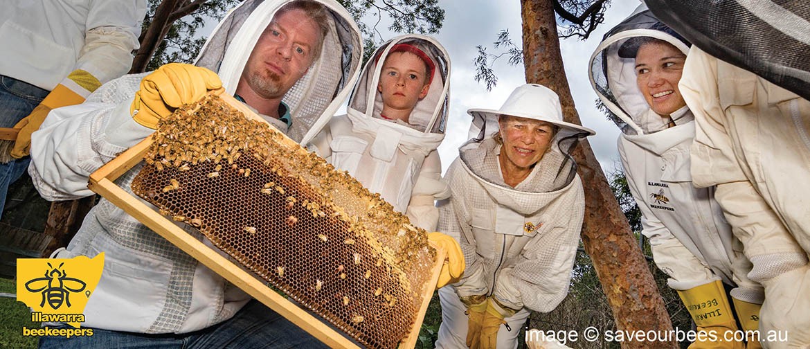 Illawarra Beekeepers Open Day 2020: CANCELLED