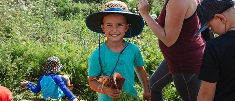 Farm Tour for Families: POSTPONED