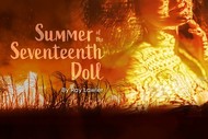 Image for Summer of the Seventeenth Doll