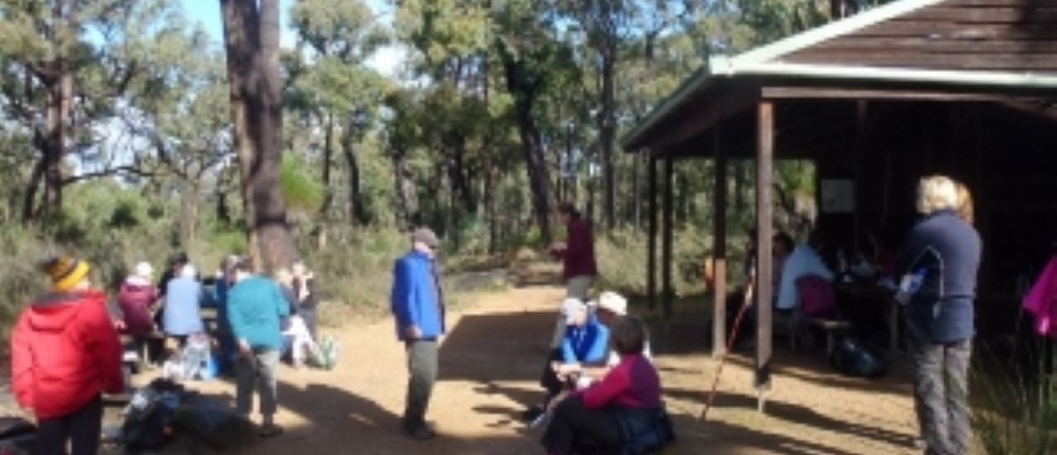 Social Sunday Walk – Brookton Highway to Canning Campsite
