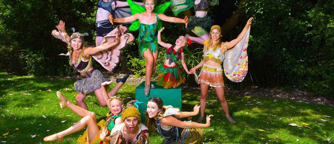 Tinkerbell and the Dream Fairies