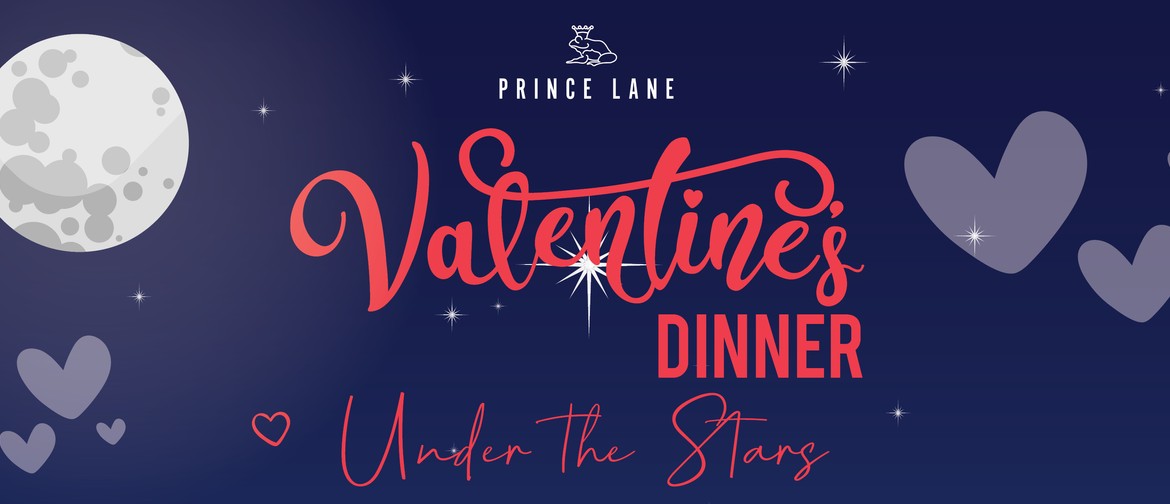 Valentine's Dinner Under the Stars
