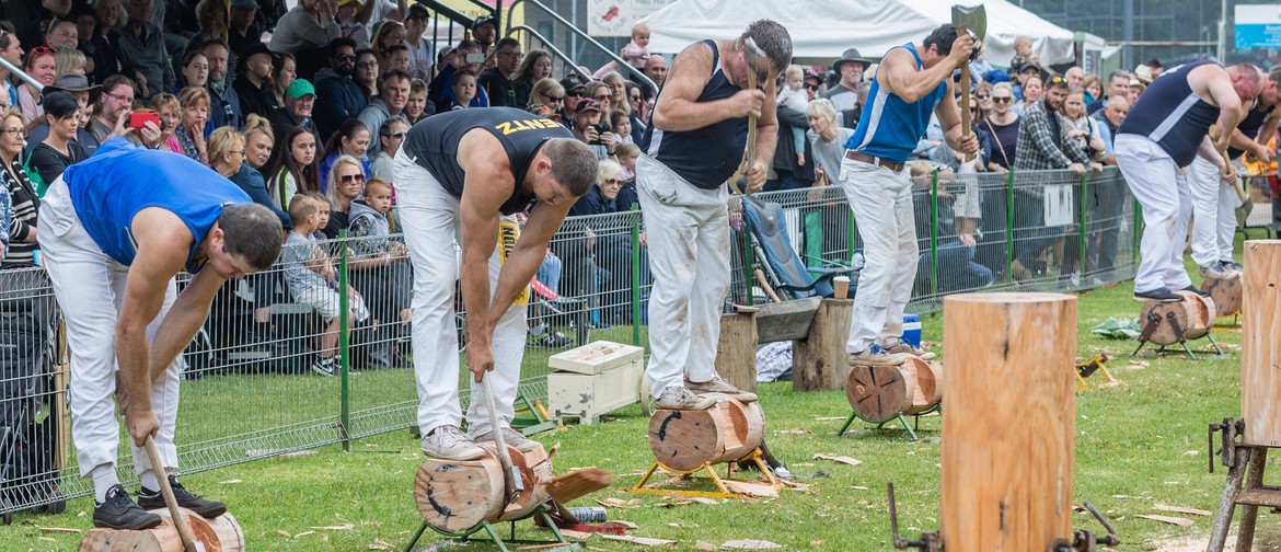 93rd Red Hill Show