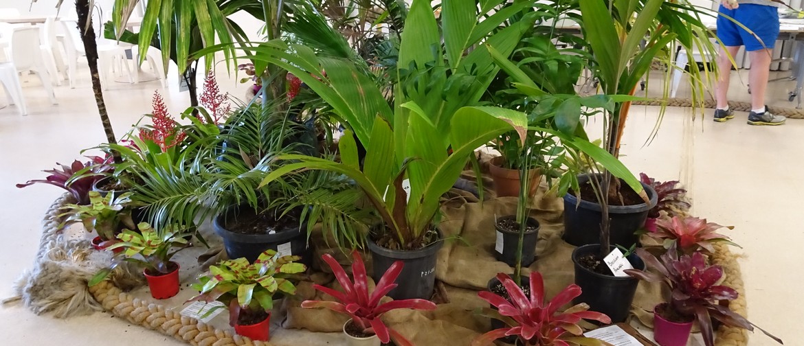 National Palm & Cycad Show