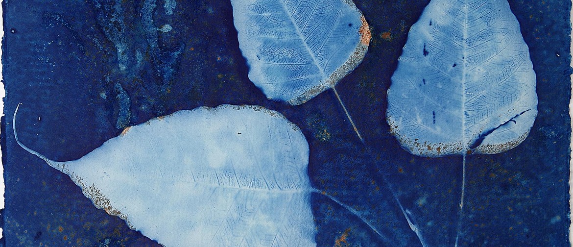 Cyanotype (Sun Print) Weekend Workshop