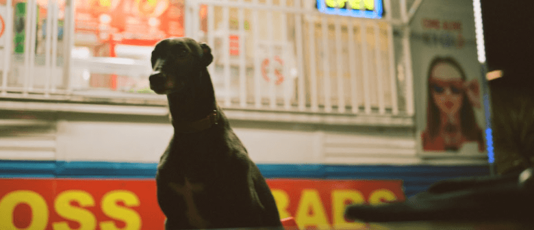 Greyhound Album Launch: "Dennis Exists"
