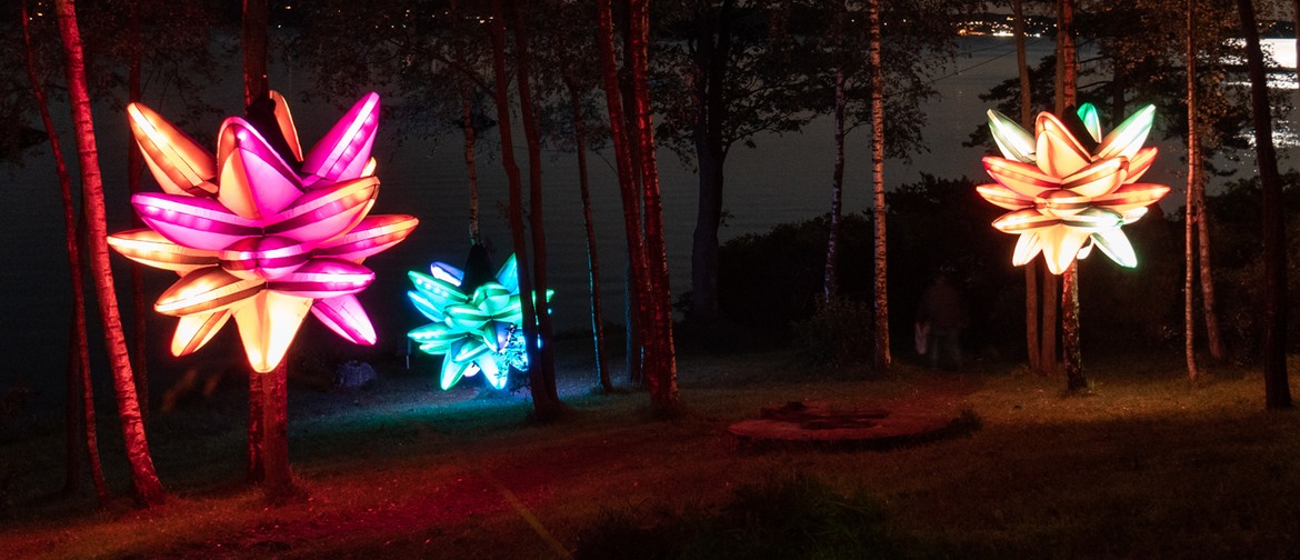 Hidden Garden - light art installation