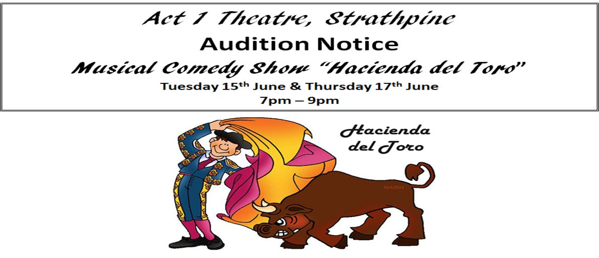 Auditions - Musical Comedy Show "Hacienda Del Toro"