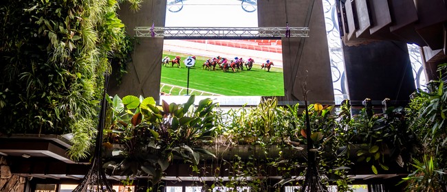 Image for Cloudland Melbourne Cup