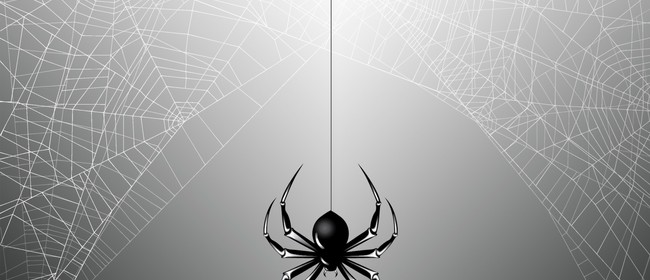Image for Spider's Web