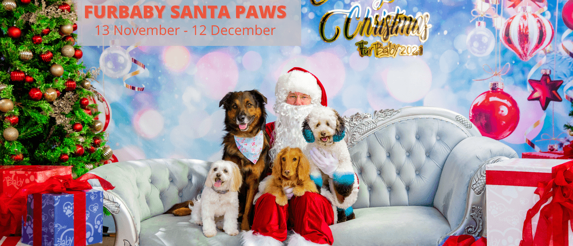 Santa Paws Photos For The Entire Family