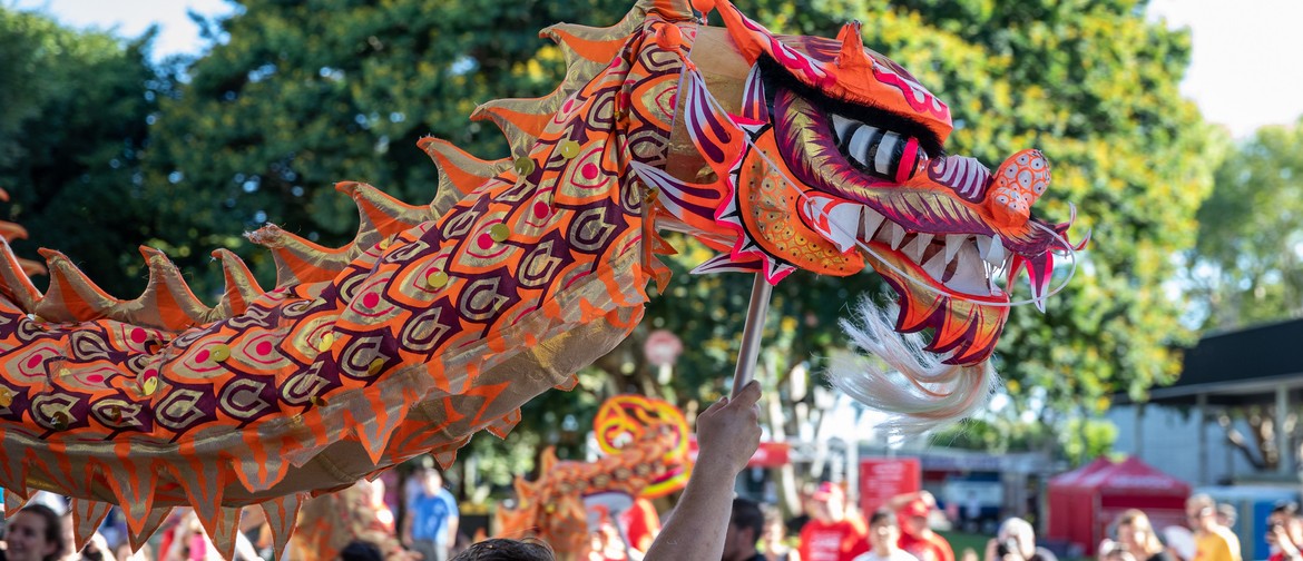 Moreton Bay Region Lunar New Year