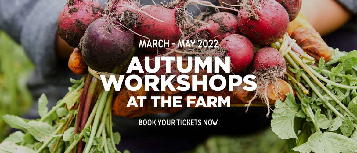 Grow Your Own Veggies and Herbs Workshop