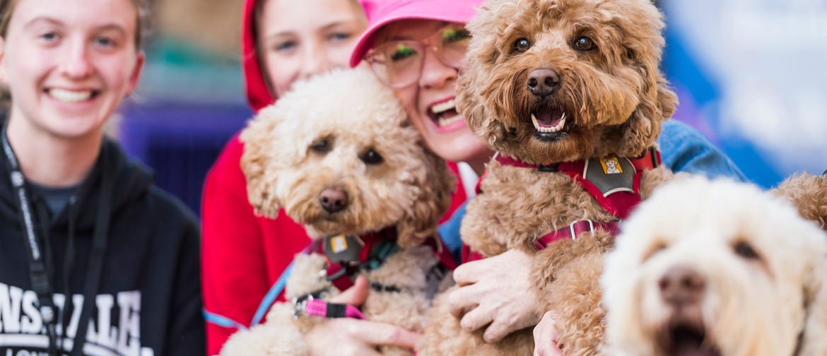 Sydney Dog Lovers Show