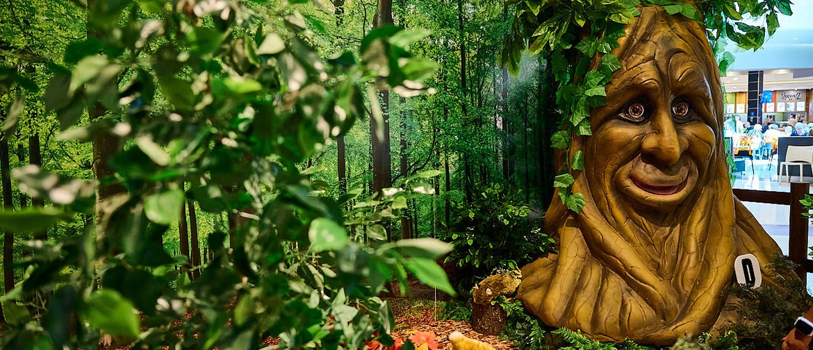 Enter the Whimsical Woodland Adventure
