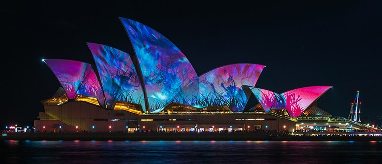 Vivid Sydney Cruise: Watch the festival from the waters