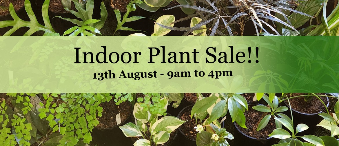 Indoor Plant Sale