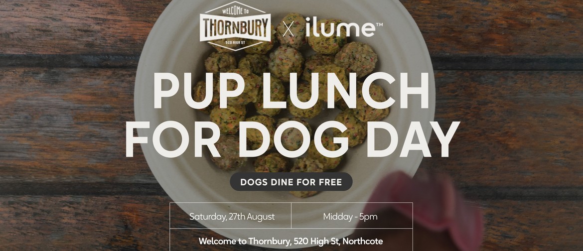 Share Lunch With Your Pup & Celebrate International Dog Day