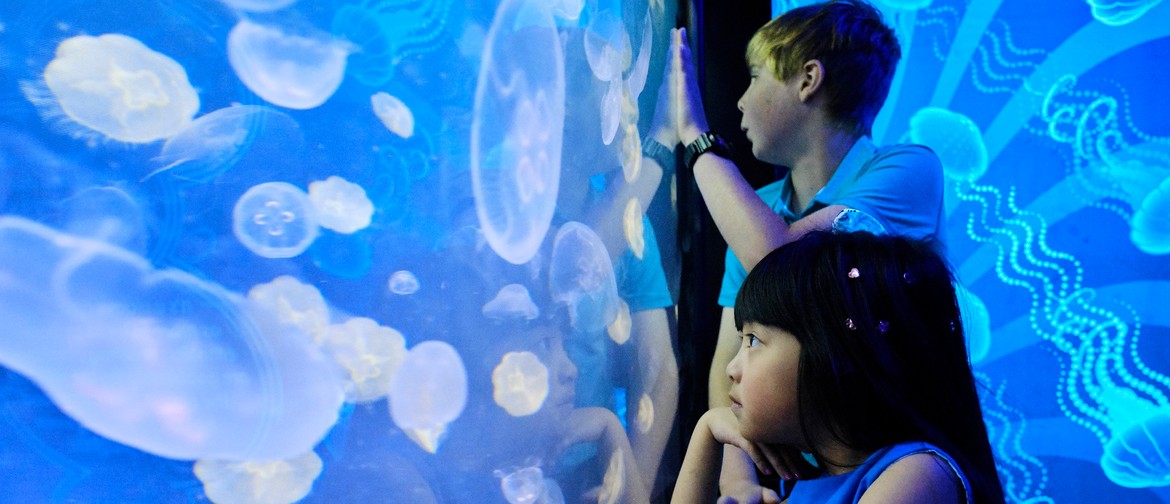 'Dangerous & Deadly’ at SEA LIFE Melbourne Aquarium
