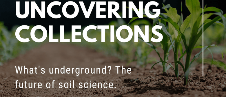 Uncovering Collections: What's underground?