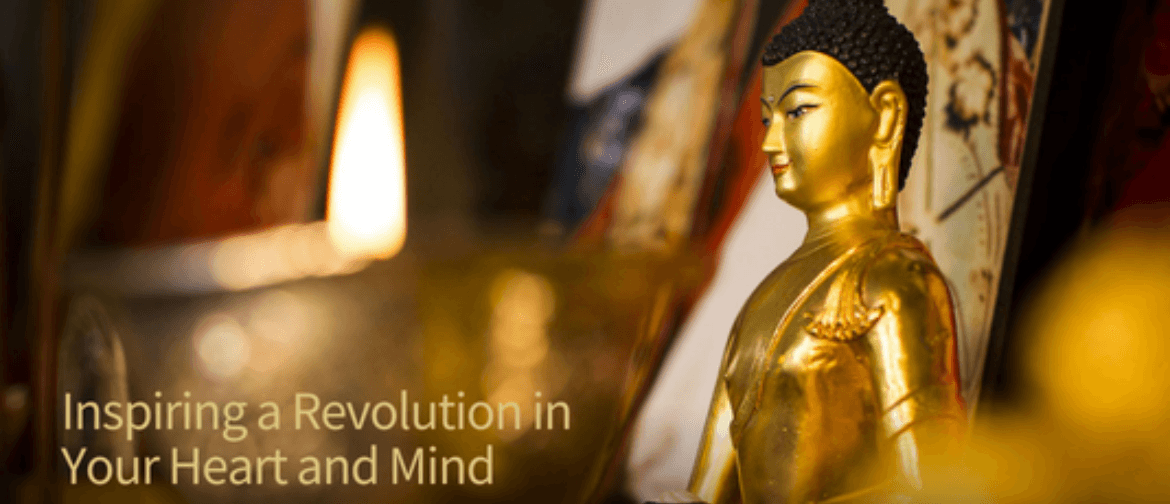 Meditation course: Inspiring a Revolution