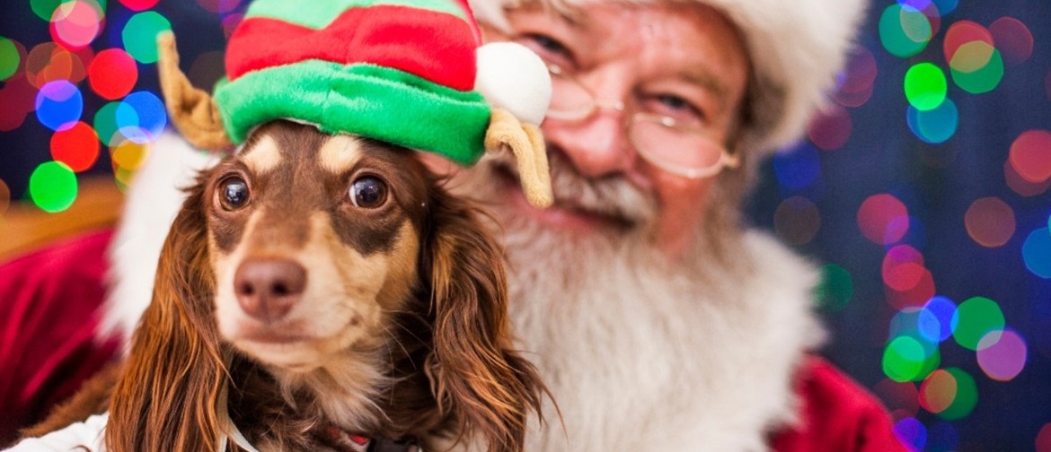 Santa Paws: Get Dog Photos With Santa!