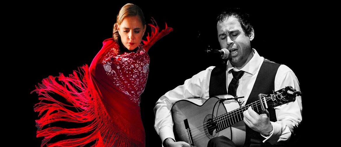Flamenco Sol