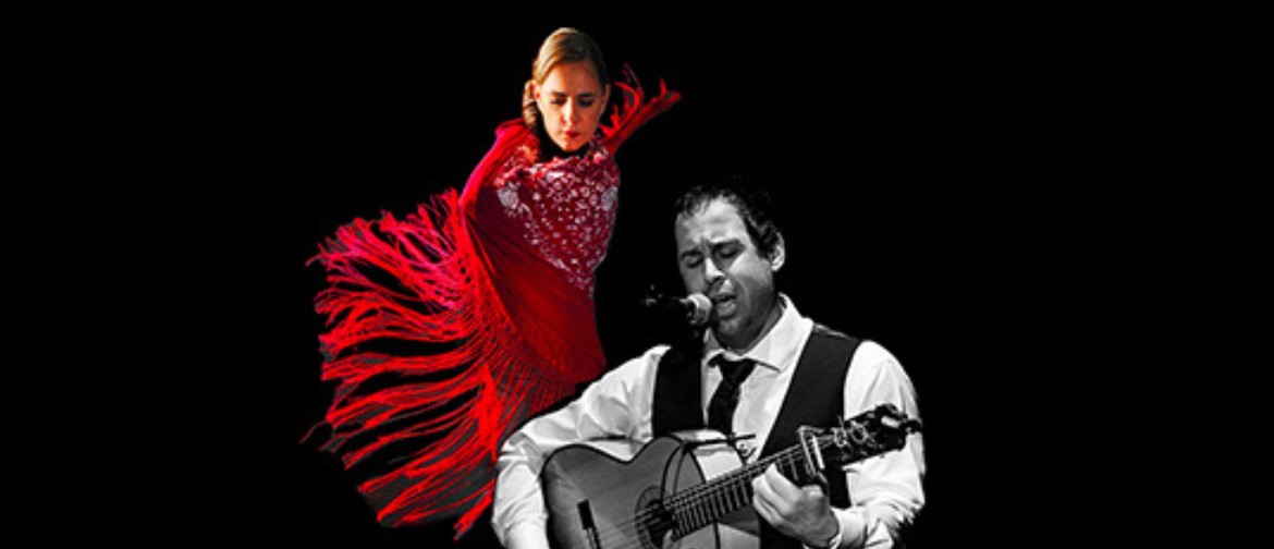 Flamenco Sol - Aire Flamenco