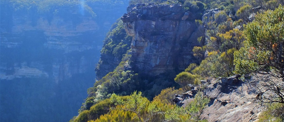 Painting the Cliffs of The Blue Mountains with Robyn Collier