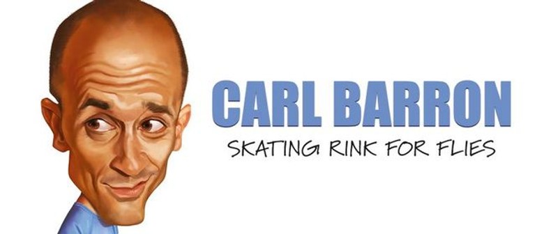 Carl Barron- Skating Rink for Flies