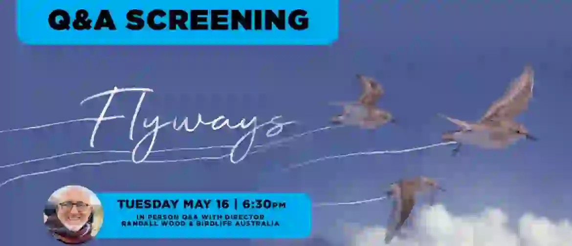 Flyways - Canberra Q&A