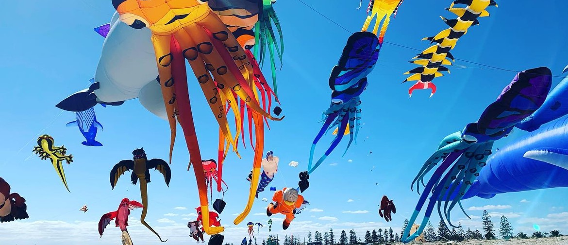 Adelaide International Kite Festival 2023