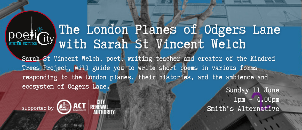 Poetic City Workshop - The London Planes of Odgers Lane