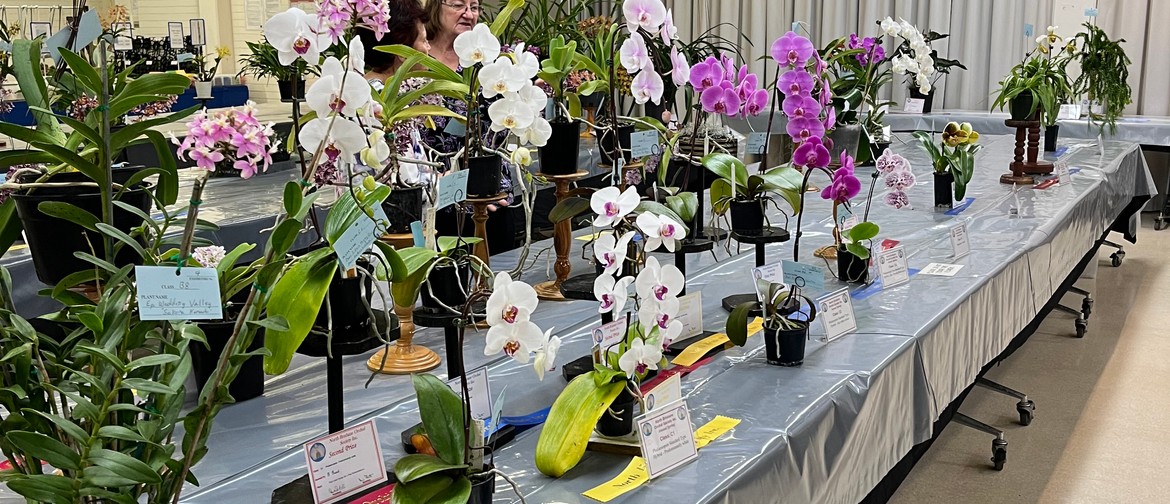 North Brisbane Orchid Society Annual Show 2023