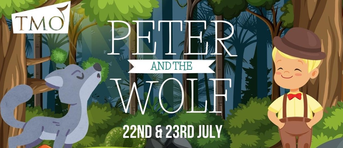 Peter and the Wolf Orchestral Children’s Cushion Concert