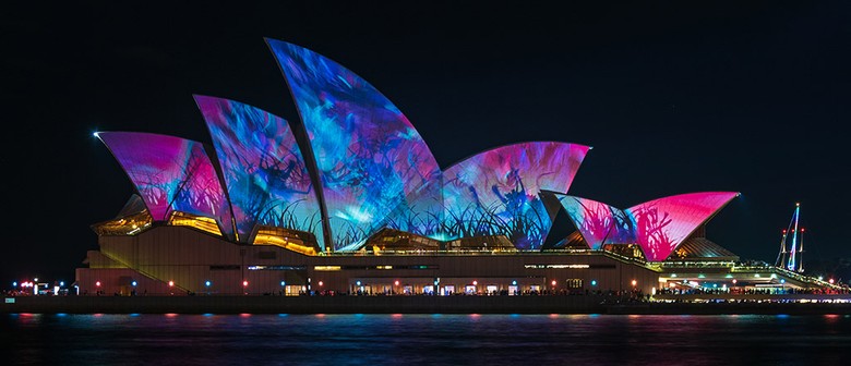 Classy Glass Boat Vivid Sydney Cruises