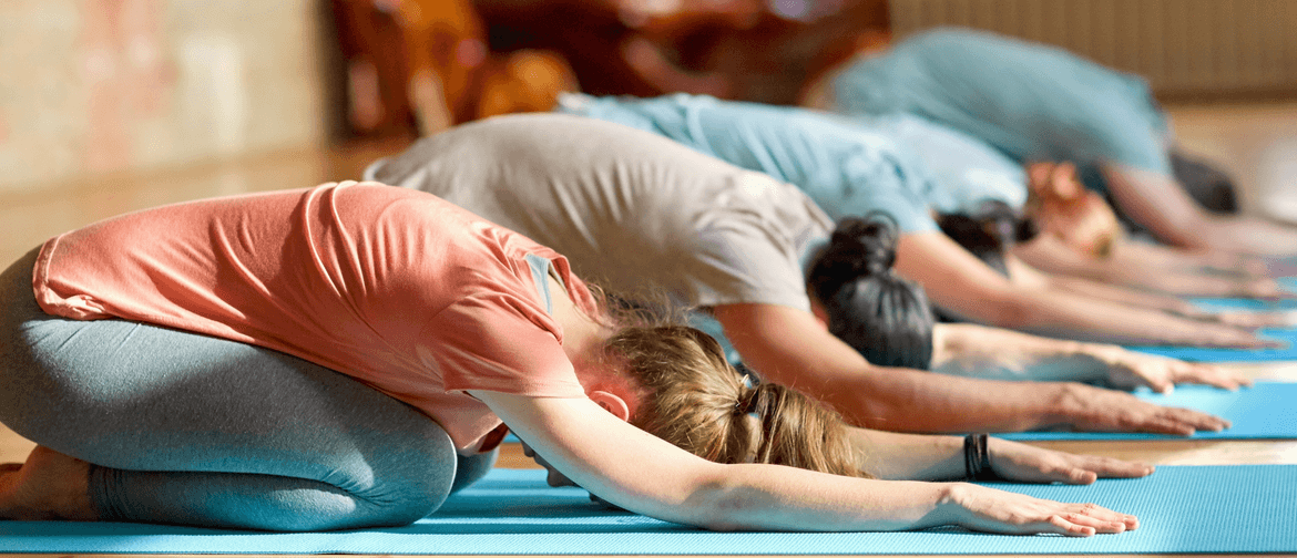 Yin Yoga Training Course