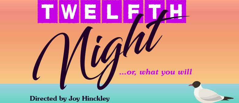 Twelfth Night or, what you will